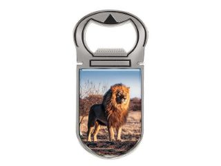 Obrázek z Otvírák magnet na láhve lev 4x9cm 